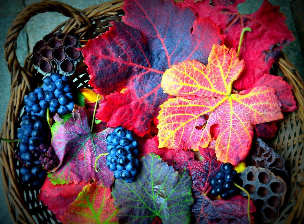 Agriturismo Casa De Colores Moretta Bagian luar foto